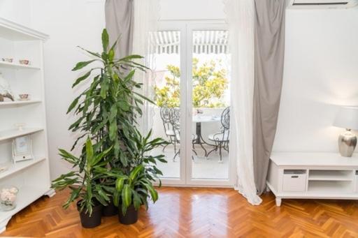 Apartments Doris Zadar Ngoại thất bức ảnh
